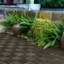 Carreaux de terrasse en bois d'acacia imbriqués à carreaux, plancher de bois franc d'acacia brun foncé carré de 10 pi x 12 po pour terrasse, banc, côté piscine-121238048