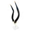 African Nyala V-Skull on Lucite Stand