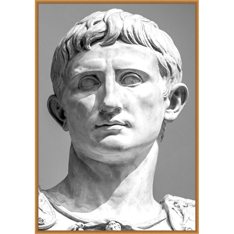 Caesar' Framed Graphic Art Print on Canvas