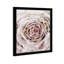 Oliver Gal Artisans - Peinture-68785220-68785225