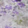 Alta Washable Floral Indoor / Outdoor Rug