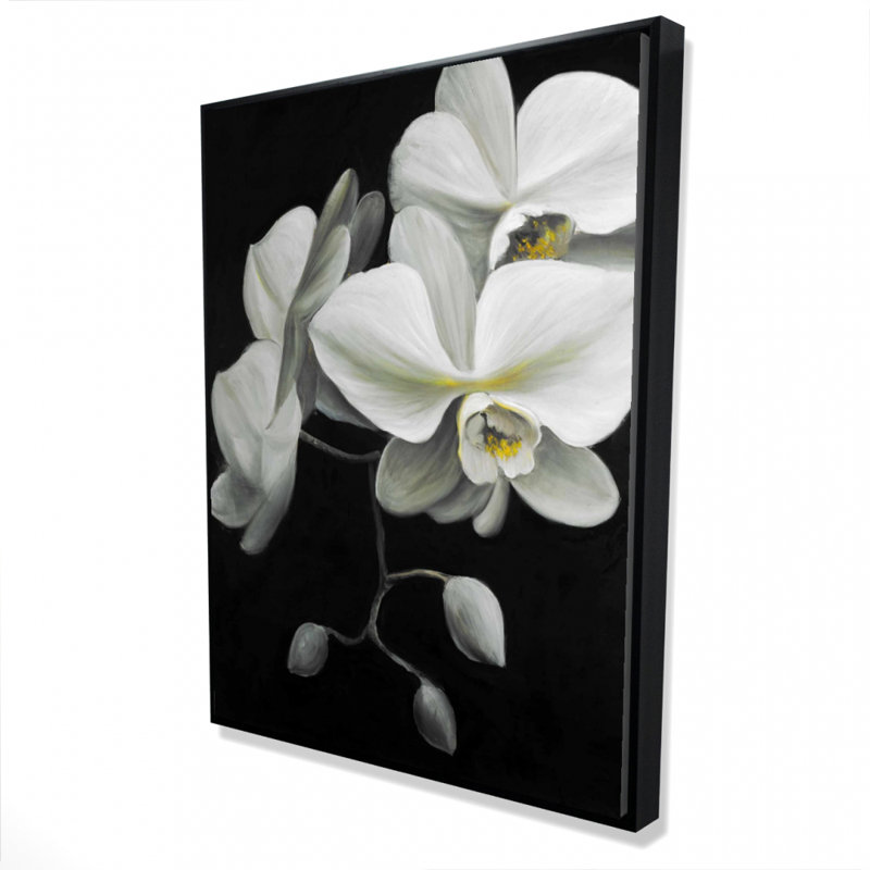" White Orchids "