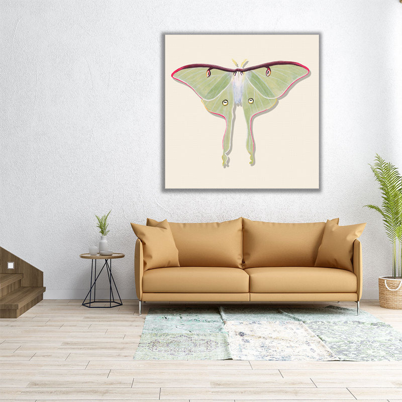 «Watercolor Moths IV», reproduction d'art sur toile, H 16 po x l 16 po