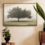 Arbres dans le brouillard II-233045859-233045860