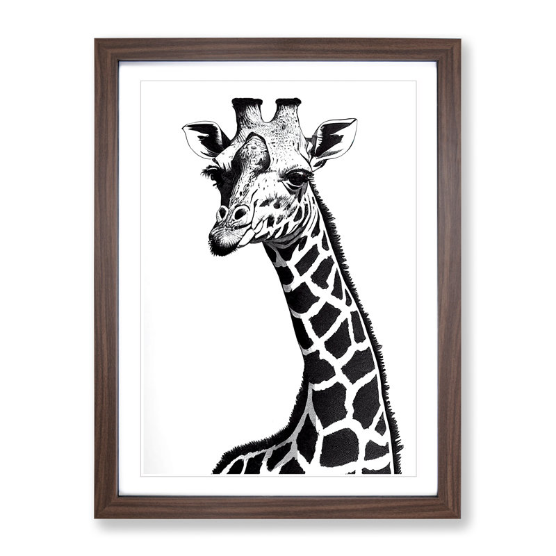 Monochrome Giraffe - Single Picture Frame Print, 64cm H x 46cm W x 2cm D, Walnut