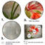 Rosner - Geraniums, ensemble de reproductions d'art mural-108464238-108464240