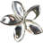 Plumeria medium knob-39948783-104672779-126755984