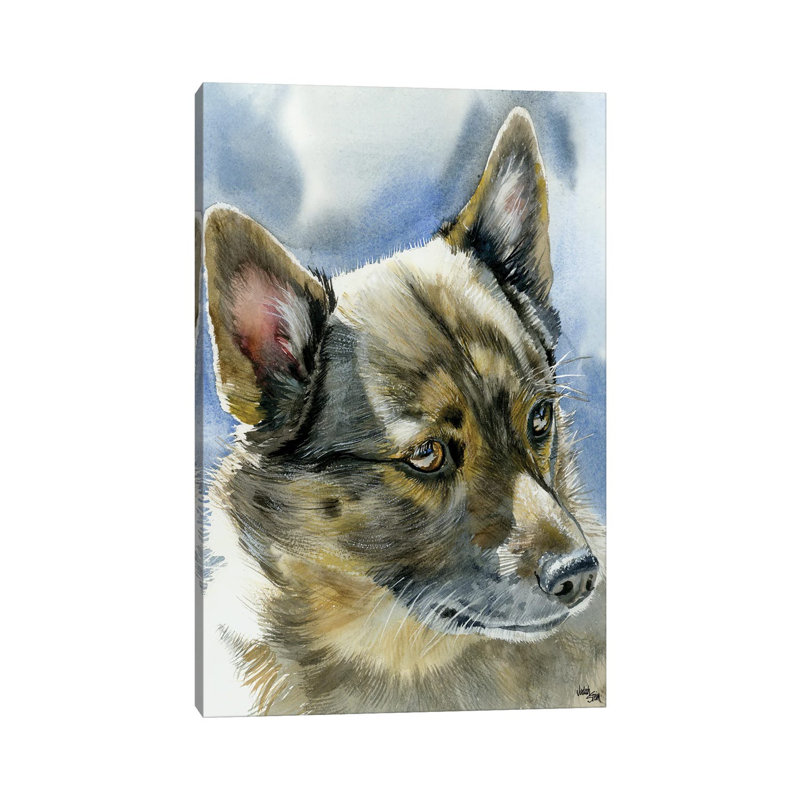 Viking Dog - Swedish Vallhund by Judith Stein - Wrapped Canvas Gallery-Wrapped Canvas Giclée, 45.72cm H x 30.48cm W