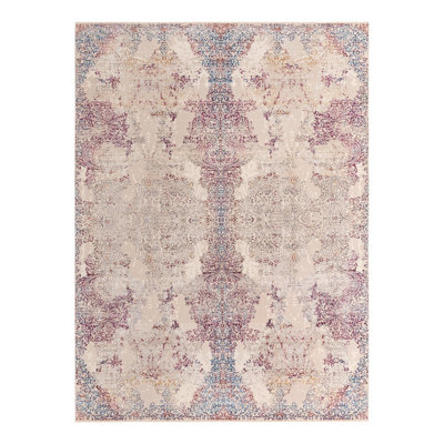 Oriental Indoor Rug