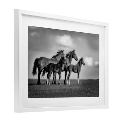 Babies On Board Horse Family Framed Print Under Glass, design by Wendy Caro