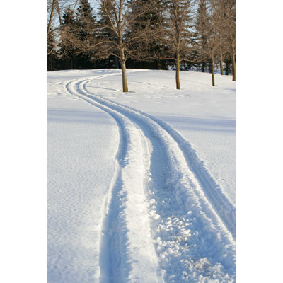 Winter Trails - Photographie sur toile tendue