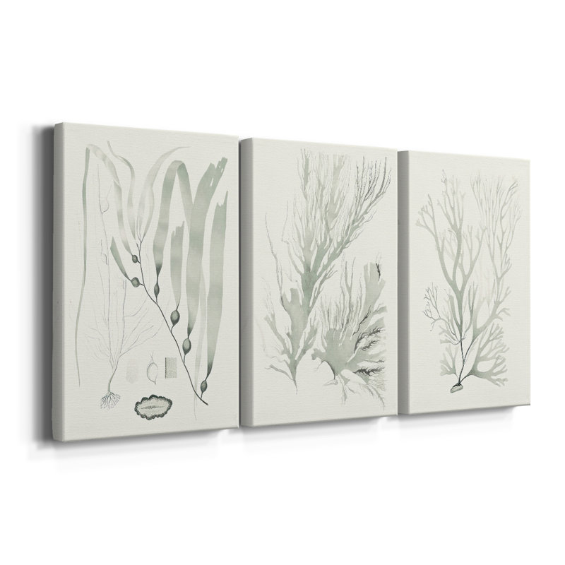 Sage Green Seaweed III - Toile tendue avec châssis sur mesure - 3 pièces, H 12 po x l 24 po