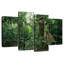 Forêt tropicale Alvord Monteverde-108847955