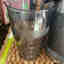 Customer photo 3 of 4