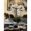 White Orchids In Artisanal Silver Pot