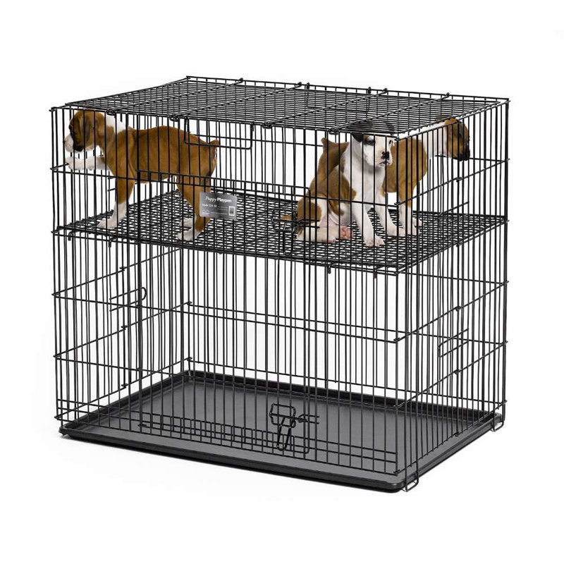 Chenil en plastique pour chiot, Petit (H 30 po x l 24 po x P 36 po), Grille d'étage de 1/2 po