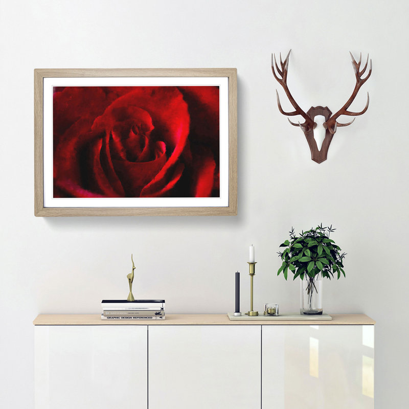The Beauty of a Red Rose - Picture Frame Painting Print, 33cm H x 45cm W x 2cm D, Oak Framed