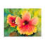 «Bright Colored Hibiscus» par Joanne Porter - peinture sur toile tendue-796931751