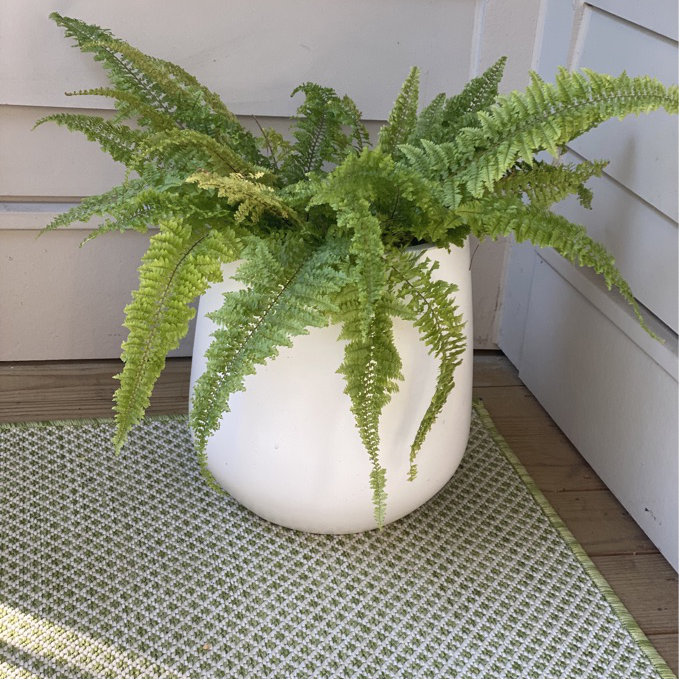 Dorlis Fiberstone Pot Planter - Linen, 16.5" H x 15" W x 15" D