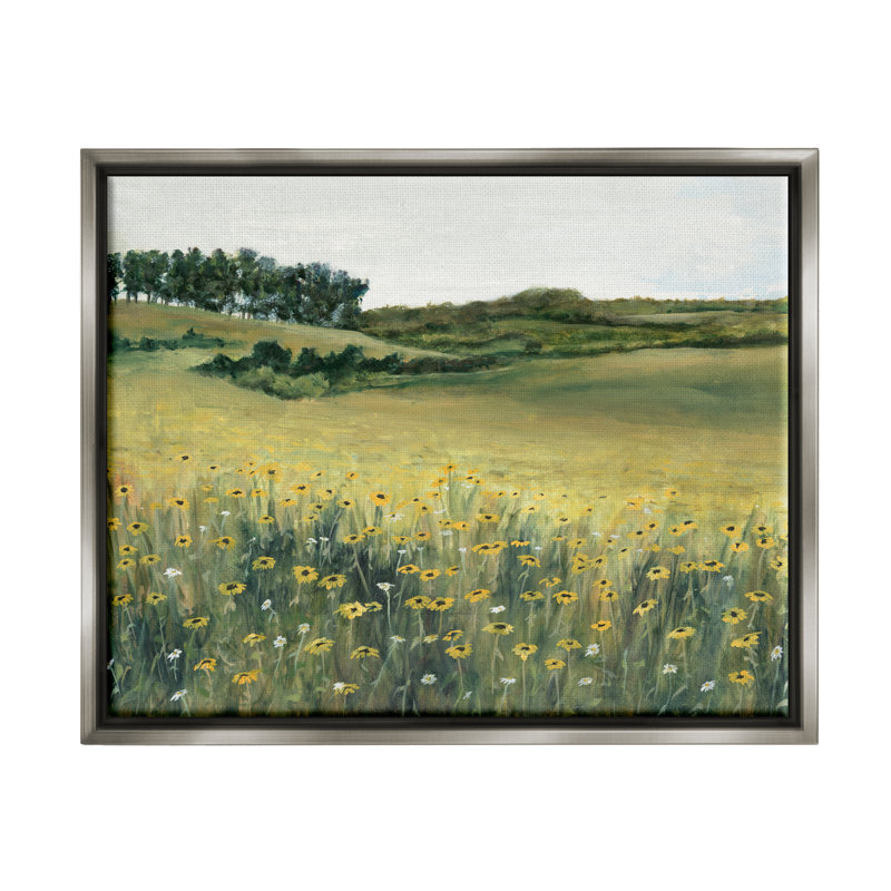 Aw-992 - «Daisy Meadow» encadré par Michael Willett, peinture, H 25 po x l 31 po x P 1,7 po, Cadre flottant gris lustré