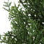 Plant-172672097-172672111