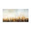 Art sur toile, bolaire Karen Hale-105645599