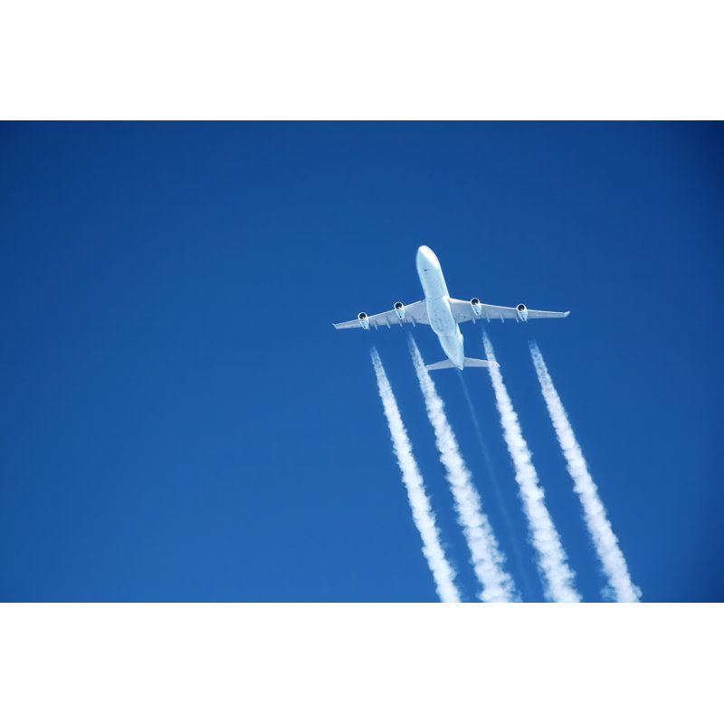 Flying High - Wrapped Canvas Print, 81cm H x 122cm W x 3.8cm D