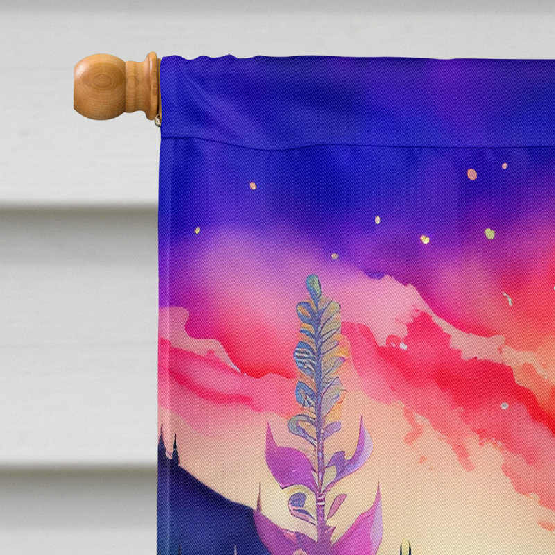 Drapeau de maison en polyester à double face H 40 po x l 28 po