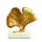 Ginkgo Leaf Object-20578503