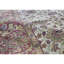 Chelsea Wool Oriental Area Rug