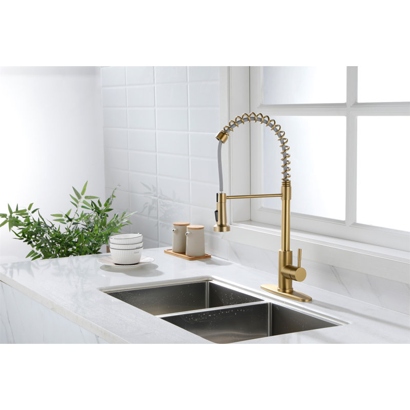 Kitchen Faucet With Pull Out Spraye