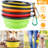 Pet Bowl