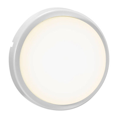 Briuna LED Flush Mount