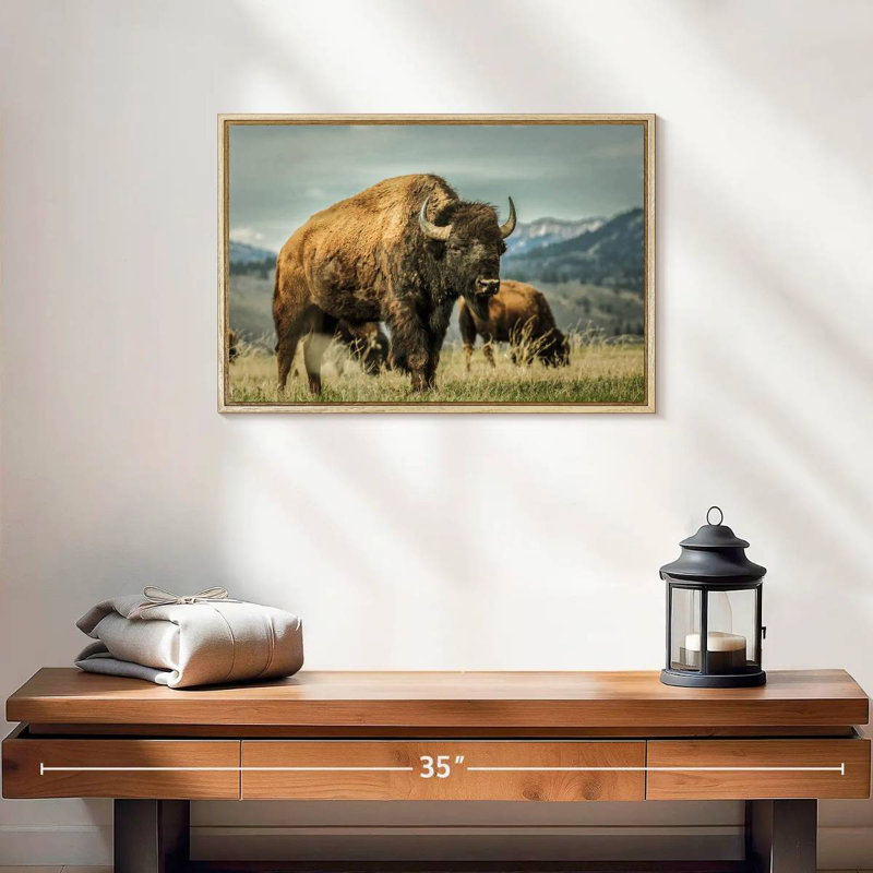 Bison du Wyoming, 19 po x 13 po, Cadre flottant en bois naturel
