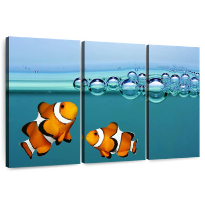 Brampt Clownfish Blowing Bubbles