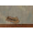 Flat Weave Nomad Kilim Turkish Rug 5x6