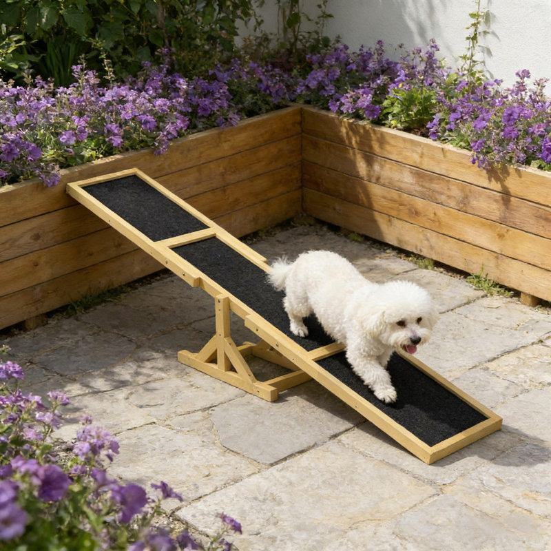 Balançoire à agilité pour chien, balançoire à agilité pour animaux de compagnie, balançoire à agilité en bois, Naturel