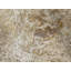 Van Area Rug-2146862650
