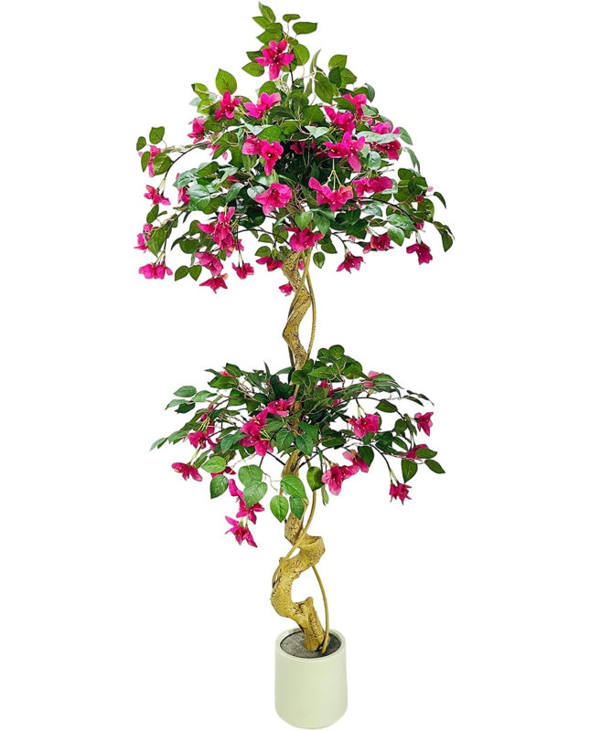 150cm Plant