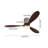 Glauk 52'' Ceiling Fan with LED Lights-1637218988