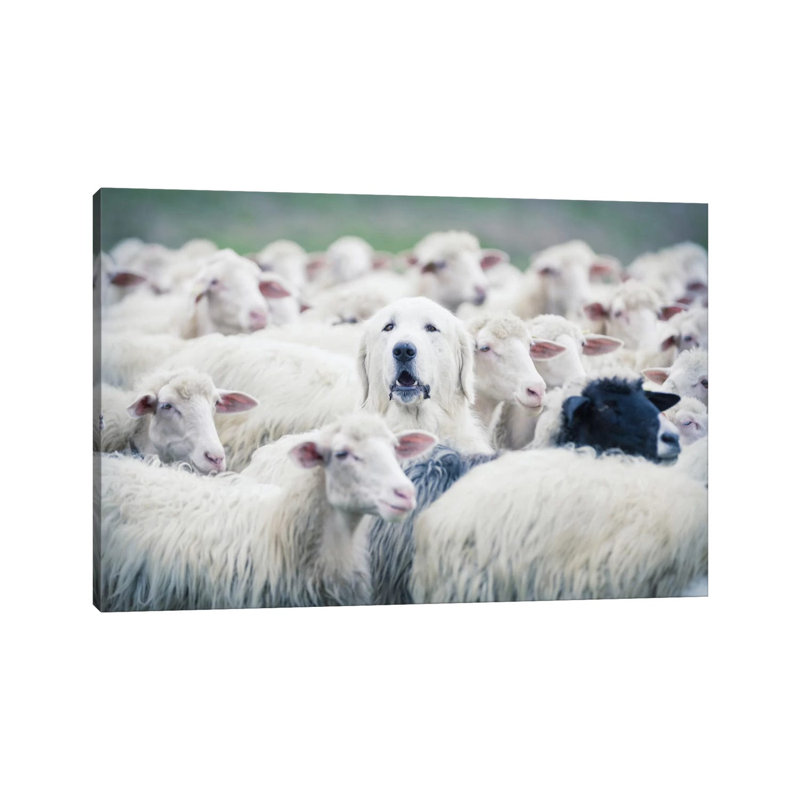 In Disguise 1 Piece Wrapped Canvas Wall Art, 20.32 cm H x 30.48 cm W