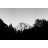 Half Dome In Trees by Bradford Smith - Print on Canvas-1292119882-1218302079