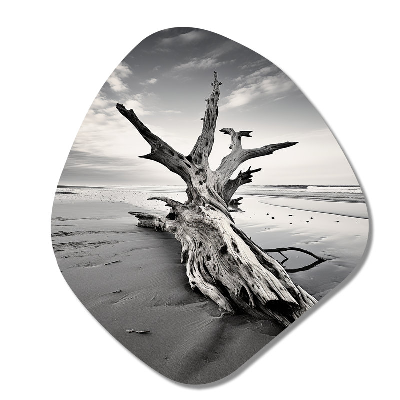 «Beach Driftwood Photo III - Asymmetric Coastal Beach», reproduction d'art murale en métal de forme unique, H 28 po x l 25 po