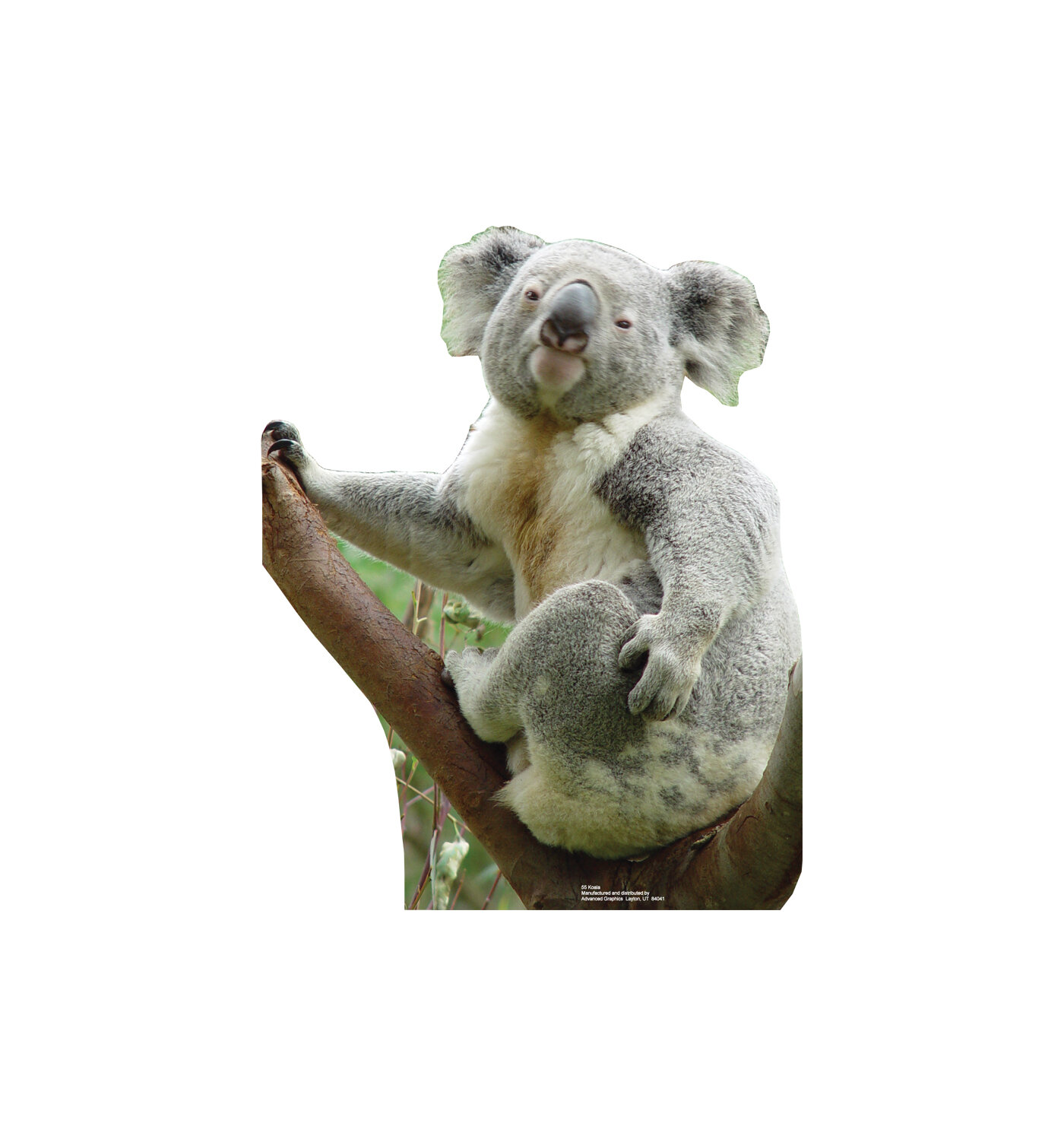 3D LiveLife Coin Purse - Koala Cuddle from Deluxebase. Lenticular 3D Koala  Bear Purse. Cash, Coin and Card Holder with Secure Zip Featuring Artwork