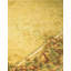 Wool Floral Area Rug-50231435