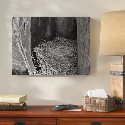 " Robins Nest " by Brenda Petrella Photography Llc