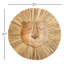 Lion Wall Décor