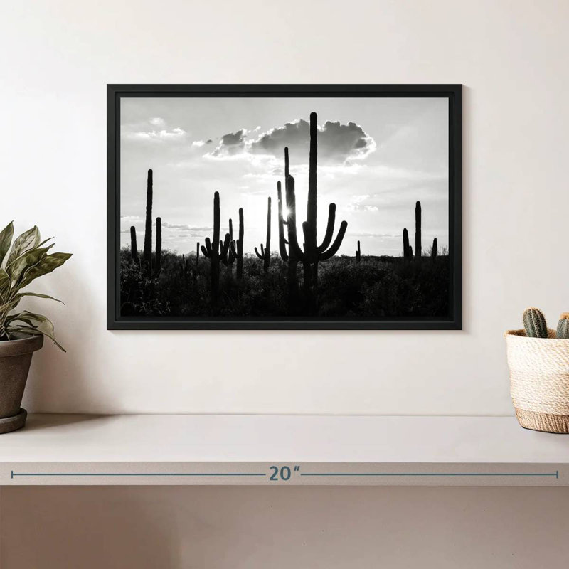 Arizona noir - Silhouettes de cactus, Cadre flottant noir, 13 po x 9 po