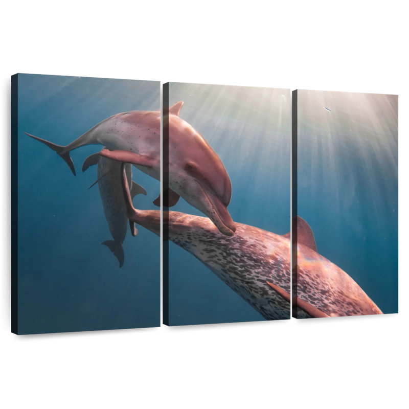 Brampt Amazon River Dolphins, 28" H x 45" W
