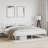 Lilibet Metal Open-Frame Bed-1916102865-1916102876